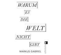 Warum es die Welt nicht gibt