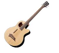 Warwick RockBass Alien Standard 5 String Fretless Acoustic Bass Natural