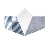 Warwick & Vance Men's 100% Cotton Handkerchiefs Pack Of 3, Blue Check Hankies With Satin Stripe Borders, 40 x 40cm