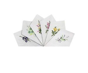 Warwick & Vance Pack Of 6 Womens/Ladies White Handkerchiefs, Floral Embroidered Collection With Satin Stripe Borders, 100% Cotton, 29 x 29cm