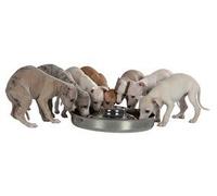 Warwick Whelping Boxes Puppy saucer weaning feeding bowl stainless steel Extra Large 15"