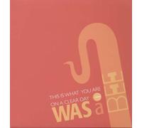 Was a Bee - This Is What You Are [VINYL]