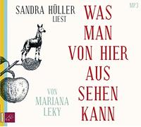 Was man von hier aus sehen kann: Roman