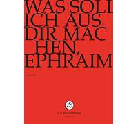 Was Soll Ich Aus Dir Machen