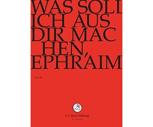 Was Soll Ich Aus Dir Machen
