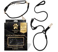 Wasatch Pup Hands-Free No-Pull Dog Leash | Durable Adjustable Training Lead for Dogs | Calm Command Outdoor Activity Leash for Active Pet Lifestyle Breeds | Ergonomic Handle - Large (60+ lbs)