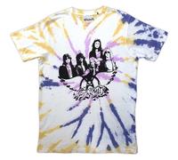 Wash Collection Photo Wings T-Shirt aerosmith Natural M