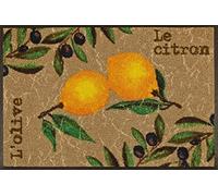 Wash + Dry 051879 Door Mat 50 x 75 cm Le Citron Motif | Washable for indoor and outdoor use