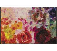 Wash+Dry Door Mat Colour Blast 50 x 75 cm Washable for Indoor and Outdoor Use