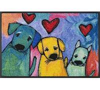 wash+dry pcs, 100% polyamide, Multicolour, 50x75 cm