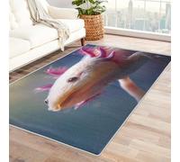 Washable Axolotl Cute Small Rugs for Bedroom, Entryway, Mats and Rugs, Ocean Life Sea Pink Bedroom Decor Area Rug, Non Slip Low Pile Soft Indoor Door Mat, 100 x 150 cm