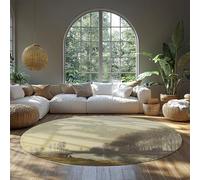 Washable Circle Rugs 120 cm The Seine at Argente Painting Print Non Slip Thin Soft Round Carpet for Bedroom Living Room Entryway