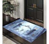 Washable Door Mats Indoor, Non-Slippery Front Door Mat Weird Cemetery, Super Soft Non Slip Doormat Gloomy Forest Skeleton, Water Absorbent Floor White Mats Entrance Rug 40x60 cm