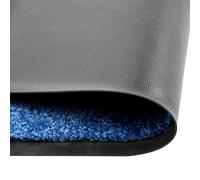 Washable Doormat, Blue, 60 x 90 cm, Non-Slip Dirt Trapper Mat with PVC Backing, Weatherproof Doormat for Indoor and Outdoor Use, Ideal as a Clean Mat for Front Door, Balcony, Patio
