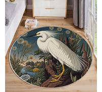 Washable Round Area Rug 80cm Soft Fluffy Circle Carpet Rug Interesting Animals The Cat Is Holding A Dollar Short Pile Non Slip Floor Round Rugs for Entryway Living Room Bedroom(Grey)