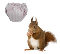 Washable Squirrel Diapers - Extra Small Reusable Pet Cloth Diapers Highly Absorbent Leak-Proof Urine Wet Pants with Adjustable Waistline for Indoor Squirrel (Pink, M (3.9" - 6.3"), Count, 1)