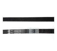 Washing Machine Drive Belt Fit，Compatible for Hoover，Compatible for Candy，Washer 41021973 41039460 1225J5 5EPJ1225(2pcs)