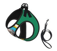 Washington Flag Print Adjustable Harness Leash Set For Cats And Dogs, Soft Breathable Kitten Puppy Mesh Vest With Reflective Design, Escape-Proof Lead For Small Pets Walking Training