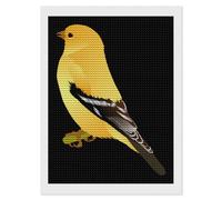 Washington Goldfinch Birds Diamond 5D Painting Kits for Adult Beginners Round Full Drill DIY Wall Art Craft Decor Gift 12"x16"