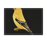 Washington Goldfinch Birds Stylish Linen Place Mats 12" * 17" Non Slip Table Placemats for Dining Kitchen Home Party Decor