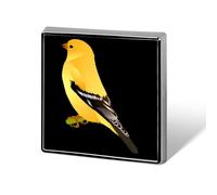 Washington Goldfinch Birds Unisex Novelty Brooches & Pins Square Metal Lapel Badge for Clothing Shawl Hat