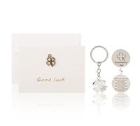 Wasise Good Luck Charm - 4PCS Good Luck Gifts, 4 Leaf Clover Keyring, Coin and Cards with Envelope, Four Leaf Clover Keyring for Operation New Job Travel, Inspirational Friendship Gift for Graduation