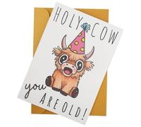 Wasise Highland Cow Birthday Card - Funny Highland Cow Birthday Cards, Humorous Scottish Animal Card With Envelope, Valentine Cards, Funny Cute design gifts for women friend Daughter Sister Teacher
