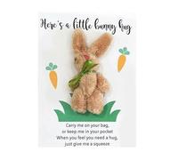 Wasise Pocket Hug - Cheer Up Small Gifts for Women, Thinking of You Bunny Rabbit Mini Gifts, Pocket Hugs for Friends, Birthday, Graduation, Valentines Gift, Women Strength Gift Cards (BROWN)