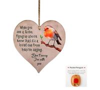 Wasise Robin Gifts - 2PCS Robin Wooden Sign & Pocket Hug Gift Set, Mini Pocket Hug Robins Decoration as Unique Keepsake Gift, Thoughtful Good Luck Gifts for Women Girls, Comforting Robins Ornaments
