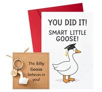 Wasise Silly Goose Congratulations Gift - Funny Well Done Card with Envlope, Cute Goose Keyring, You Did it! Inspirational Positivity Gifts for Graduation, Exam Success, New Job, Him, Her Friends