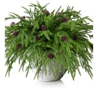 Watayo 15 Pcs Christmas Norfolk Pine Branches with Pine Cones- 19" Extra Length Fake Greenery Norfolk Pine Stems Sprigs- Artificial Xmas Branches Plants Pine Leaves for DIY Craft Garland Home Decor