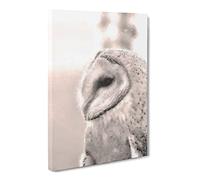 Watchful Barn Owl Bird Canvas Print | Gallery Wrapped 30mm Frame Wall Art | 20x14 inches | Ready to Hang | Modern Animals Picture | Living Room Bedroom Lounge Office