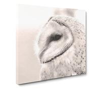 Watchful Barn Owl Bird Canvas Print | Gallery Wrapped 30mm Frame Wall Art | 20x20 inches | Ready to Hang | Modern Animals Picture | Living Room Bedroom Lounge Office