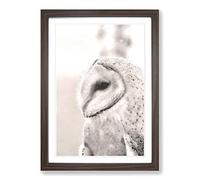 Watchful Barn Owl Bird Framed Print | A2 Walnut Framed Wall Art | Ready to Hang | Modern Animal Picture | Living Room Bedroom Lounge Office