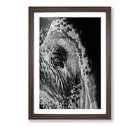 Watchful Elephant Framed Print | A2 Walnut Framed Wall Art | Ready to Hang | Modern Animal Picture | Living Room Bedroom Lounge Office