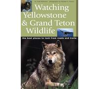 Watching Yellowstone & Grand Teton Wildlife: The Best Places to Look from Roads and Trails
