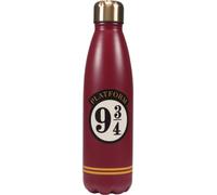 Harry Potter Metal Water Bottle - Platform 9 3/4