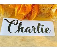 Water Bottle Name Stickers, Personal Name Tag, Kids Name Decal, Personalized Vinyl Sticker, Personalized Label Decal, Custom Name, School Bottle Name Stickers (5"x12", METTALLIC Black)