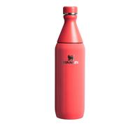 Water Bottle Stanley The All Day Rouge 0,6 L