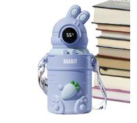 Water Bottle With Straw - Cartoon Stainless Steel Insulated Drinking Bottle, 500ml | Digital Temperature Display Travel Mug, Sports Bottle With Strap, Canister