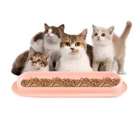 Water Bowls for Cat Food - 15 Degree Tilted Double Bowl Set | 15.94 x 4.92 x 1.77 Inch Non-Slip Raised PP Stainless Steel Bowl for Cats and Small Dogs | Food Bowls - Home Feeding