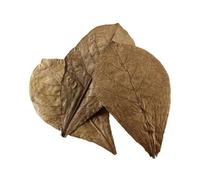 Water conditioner Hobby Catappa Leaves XL (x12)