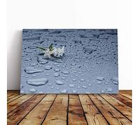 Water Droplet Rain Abstract and White Flower Canvas Print | Gallery Wrapped 30mm Frame Wall Art | 24x16 inches | Ready to Hang | Abstract Floral Picture | Living Room Bedroom Lounge Office