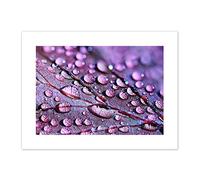 Water Droplets Leaf Macro Canvas Wall Art Print