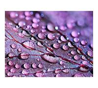 Water Droplets Leaf Macro Large Canvas Wall Art Print