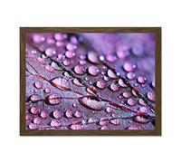 Water Droplets Leaf Macro Large Framed Art Print Poster Wall Decor 18x24 inch
