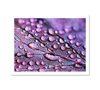 Water Droplets Leaf Macro Large Framed Art Print Poster Wall Decor 18x24 inch