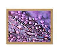 Water Droplets Leaf Macro Large Framed Art Print Poster Wall Decor 18x24 inch