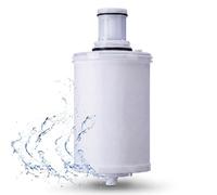 Water Filter Cartridge, Replacement Water Filter cartridges Compatible with for eSpring System 100186, Activated Carbon Filtration, 0.2 μm Filtration