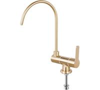 Water Filter Faucet Brushed Gold Kitchen Drinking Only Cold Stainless Steel (B)